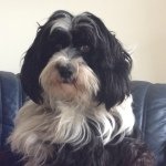 Profile Picture of Bobbi Carter (@tibetanbobbi) on Instagram
