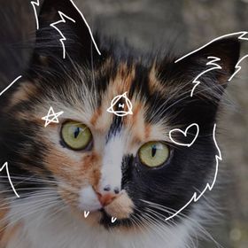 Profile Picture of Autumn Pittman (@Autumntheriancat) on Pinterest