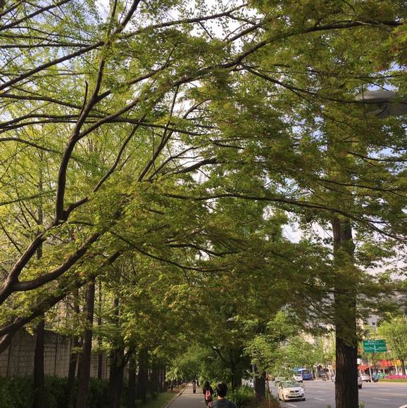 Profile Picture of Brian Park (@citizenpark) on Poshmark