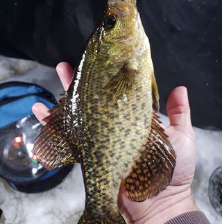 Profile Picture of Grant Radtke (@grant.radtke) on Facebook