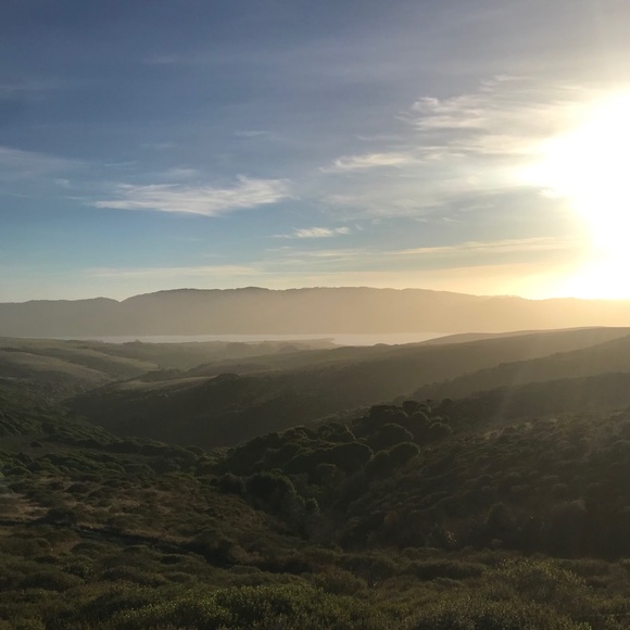 Profile Picture of Alicia Heffington (@artdexi) on Poshmark