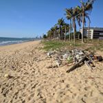 TJ Knight - Instagram Profile Picture of TJ Knight (@tjcleannajomtien) on Instagram