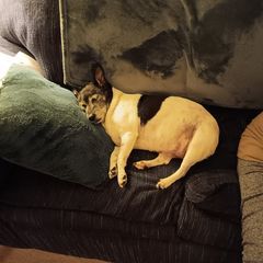 Profile Picture of albertamoody (@albertamoody) on Tiktok