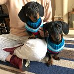 Profile Picture of Suzanne Irving (@adventures_of_reggie_and_mabel) on Instagram