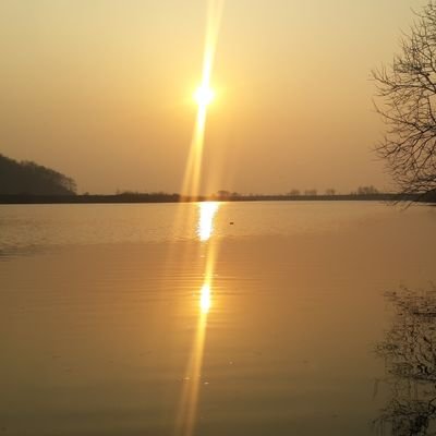 Al Amin Elahi Tuhin - Twitter Profile Picture of Al Amin Elahi Tuhin (@elahi_tuhin) on Twitter