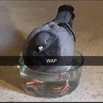 Profile Picture of Joseph Brogdon (@JosephBrogdon2) on Twitter