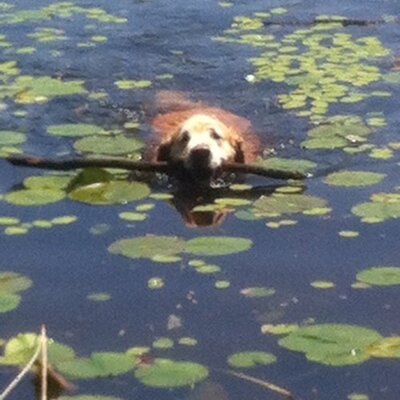 Profile Picture of Scott Coughlin (@scottcoughlin93) on Twitter