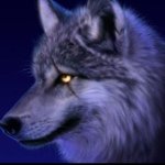Profile Picture of Joshua Andrus (@sinizterzwolf) on Instagram