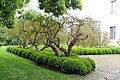 Profile Picture of Torrecchia Vecchiaon Wikipedia