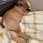 Profile Picture of Lauren Rebecca Whitbread (@lou_xo23) on Instagram