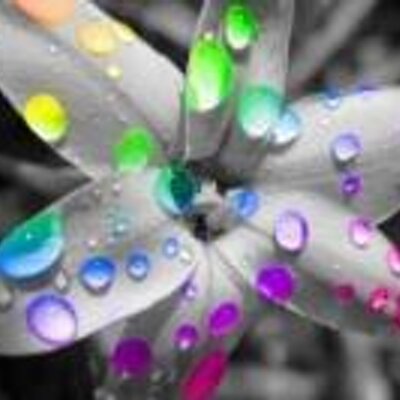 Profile Picture of Leandri Karastamatis (@LKarastamatis) on Twitter