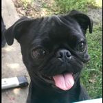 Profile Picture of Cory Ouellette (@cro7734) on Instagram