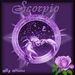 Profile Picture of Lisa Arentz (@arentz1063) on Pinterest