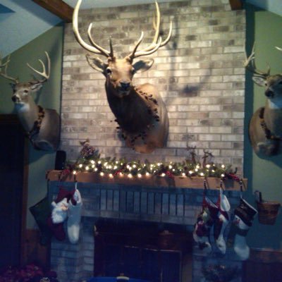 Profile Picture of Stephen Sprenger (@stephensprenge1) on Twitter