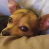 Profile Picture of vickyayers743 (@@vickyayers743) on Tiktok