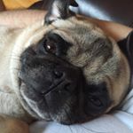 Profile Picture of Jim Worley (@roperf15) on Instagram