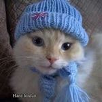 Profile Picture of Mark Josef (@josef.mark) on Instagram