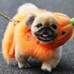 Philip Andrew Anglin - Instagram Profile Picture of Philip Andrew Anglin (@philspectre7) on Instagram