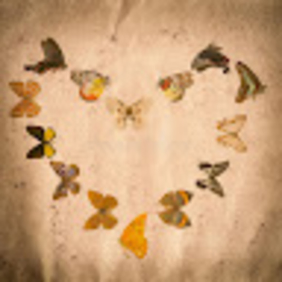 Profile Picture of Cheyanne Weaver (@cheyanne24522) on Poshmark