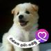 Profile Picture of Jayatilaka Jayatilaka (@jayatilaka.jayatilaka.718) on Facebook
