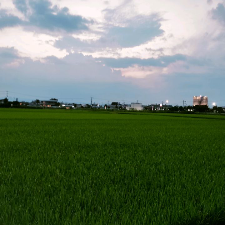 Profile Picture of あり (@ryryuuuuuci) on Tiktok