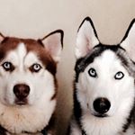 Profile Picture of Colin Keating (@colinscorner2019) on Instagram