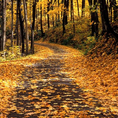 John Griner - Twitter Profile Picture of John Griner (@@grinerphoto) on Twitter