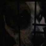 Profile Picture of aaron (@aaronrymer435) on Instagram