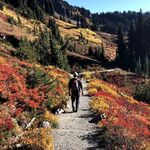 Profile Picture of Scott Druskat (@scottie_dru) on Instagram