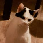 Profile Picture of Marie-claude Savard (@urkmuk) on Instagram