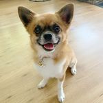 Profile Picture of Teddy (@hoi.teddy) on Instagram