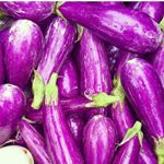 Profile Picture of EggPlantInABox🍆📦 (@eggplantinabox) on Instagram