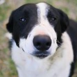 Profile Picture of Claudiabingham (@claudiabingham0203) on Instagram