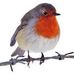 Profile Picture of Robin Shillington Friedlander (@robin.s.friedlander) on Facebook