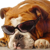 Profile Picture of Isabelle Williams (@isabellewilliams8067) on Youtube