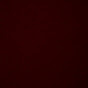 Profile Picture of Nelson Moore (@@MrNellynoodle) on Tiktok