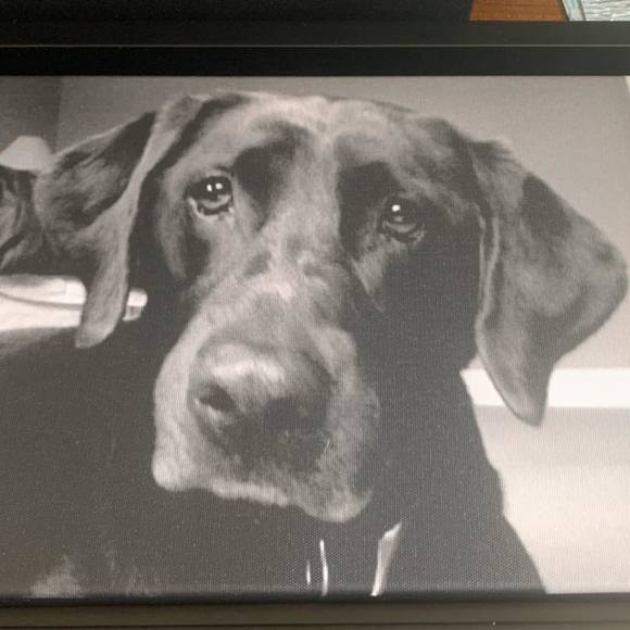 Profile Picture of Manny Rodriguez (@mrod7777) on Poshmark