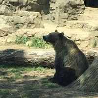 Profile Picture of Grady Patterson (@grady-patterson) on Quora