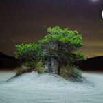 Profile Picture of Brennan Higgins (@brennan.higgins.37) on Instagram