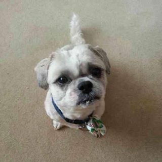 Profile Picture of Richard Despres (@richard.despres.56) on Facebook