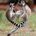 Profile Picture of David Wissehr (@davidwissehr) on Pinterest