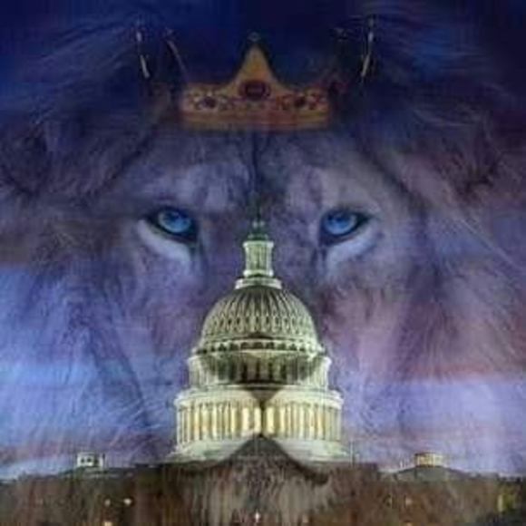 Profile Picture of Andre Alvarado (@andre1778_99) on Poshmark