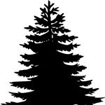 Profile Picture of Geoffrey Benson Thwaite (@geoffthwaite) on Instagram