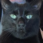 Profile Picture of Alanna O'Connor (@alanna_oconnor) on Instagram