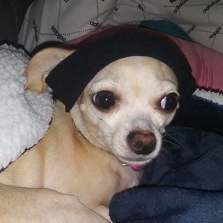 Profile Picture of Summer Kyle (@summer.kyle.984) on Facebook