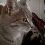 Profile Picture of filip matuzic (@matuzicfilip) on Instagram