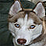 Profile Picture of Ngefth (@ngefth) on Flickr