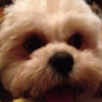 Profile Picture of Adrian Macleod (@adrian-macleod-2) on Quora