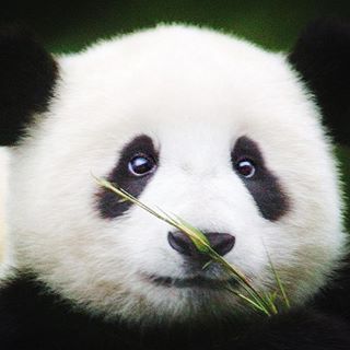 Profile Picture of Andre  Dwyer (@andre.dwyer.731) on Facebook