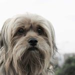 Profile Picture of Gary Cancino Torres (@garycancino) on Instagram